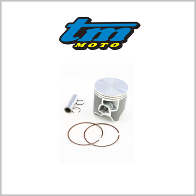TM Racing 300cc Piston Kit - Twin Ring: 10305.94 / 10305.95