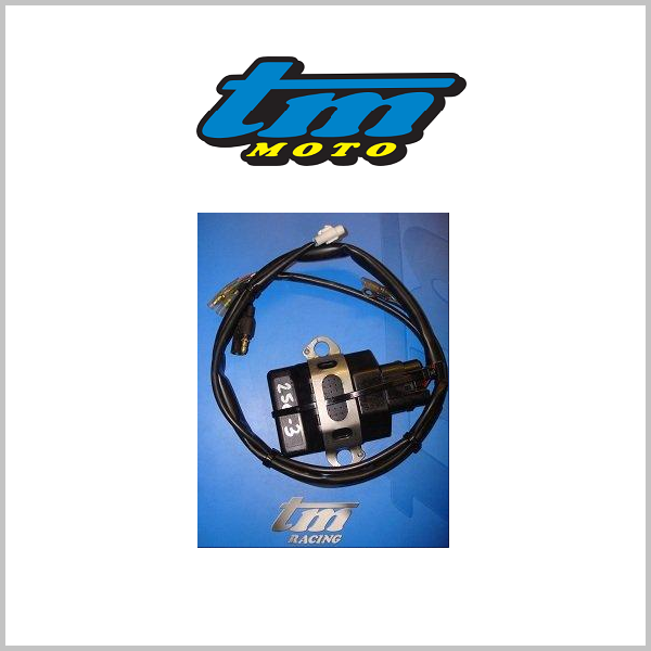 TM Racing Cdi Control Units (2-Stroke)