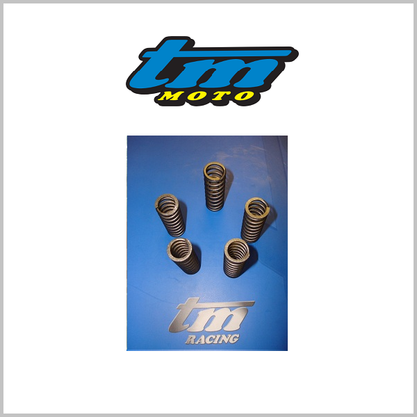 TM Racing Clutch Springs