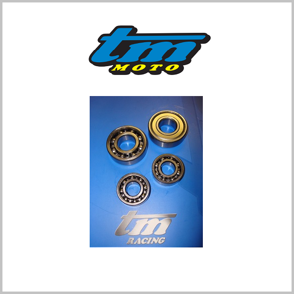 TM Racing Gearbox Shaft Casing Bearings