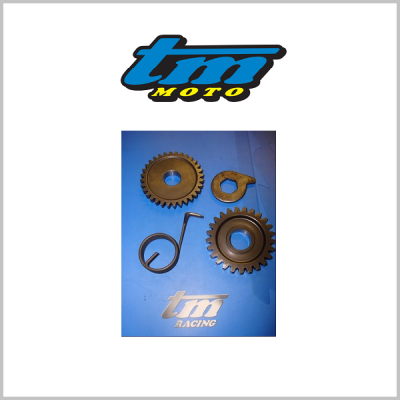 TM Racing Kickstart Mechanism / Gears