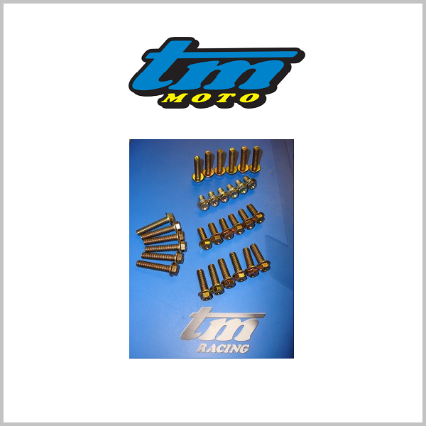 TM Racing M6 Hex Head Bolts