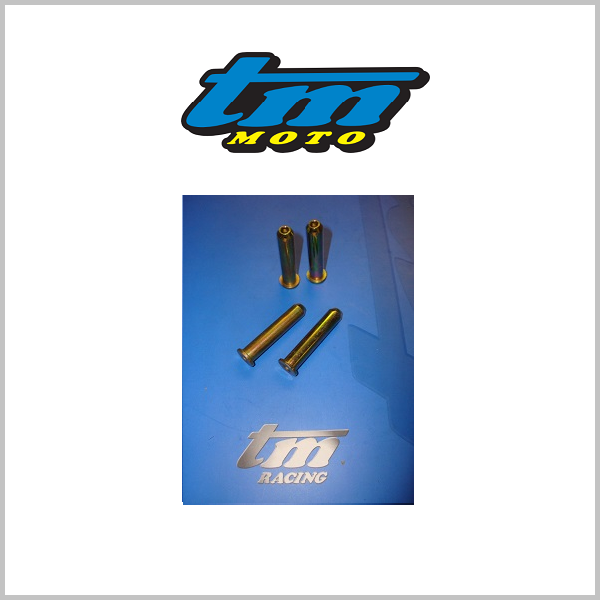 TM Racing Footrest Pivot Pins