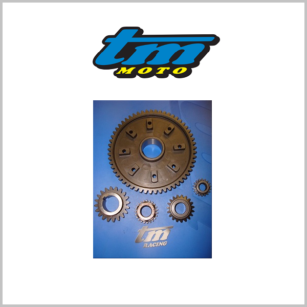TM Racing Primary Drive Gears and Fixings