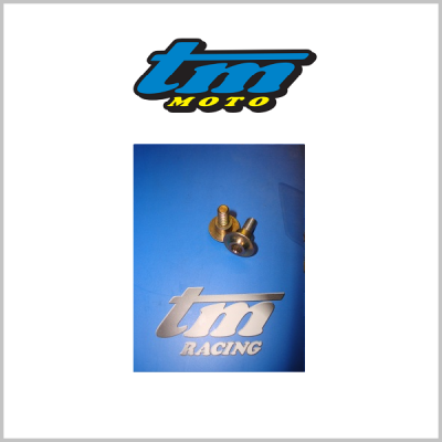 TM Racing Special Tank Bolt