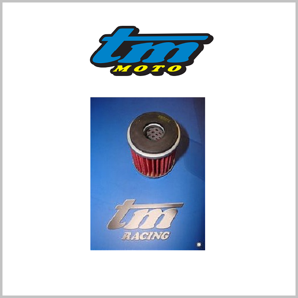 TM Moto 4T Oil Filter - F66510